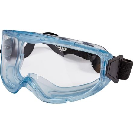 I-Spector PANORAMATICO GOGGLES G30