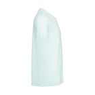 Bella+Canvas Unisex Triblend Crew Neck T-Shirt