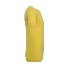 Bella+Canvas Unisex Triblend Crew Neck T-Shirt