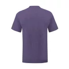 Fruit Of The Loom Iconic T