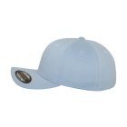 Flexfit Fitted Baseball Cap