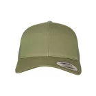 Flexfit baseball sapka Retro Trucker 6P buck