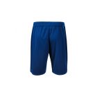 Adler/Malfini AD-613