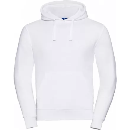 Russell AuthenticHooded Sweatshirt