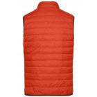 James & Nicholson Men