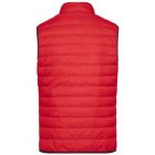 James & Nicholson Men