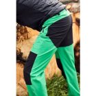 James & Nicholson Men