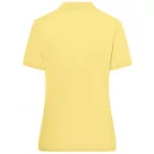 James & Nicholson Ladies