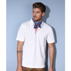 James & Nicholson Men