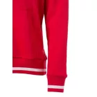 James & Nicholson Men's Club Hooded Sweat