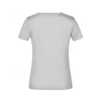 James & Nicholson Ladies Heavy T-Shirt