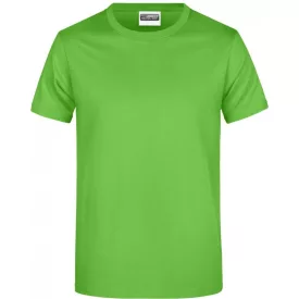 James & Nicholson Heavy T-Shirt