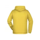 James & Nicholson Men's Hooded Sweatshirt