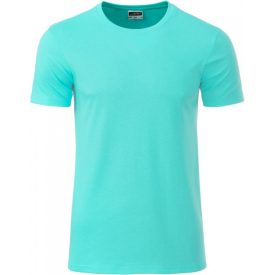 James & Nicholson Men