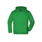 James&Nicholson gyerek pulóver Hooded Sweat 300 páfrányzöld
