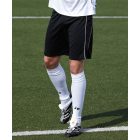 James & Nicholson Basic Team Shorts