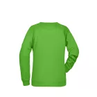 James & Nicholson Ladies Raglan Sweat
