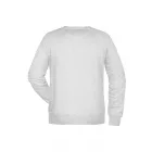 James & Nicholson Men's Raglan Sweat