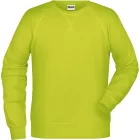 James & Nicholson Men's Raglan Sweat