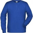James & Nicholson Men's Raglan Sweat
