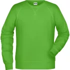 James & Nicholson Men's Raglan Sweat
