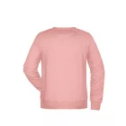 James & Nicholson Men's Raglan Sweat