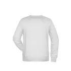 James & Nicholson Men's Raglan Sweat