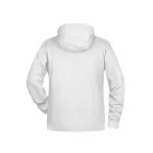 James & Nicholson Men's Raglan Hooded Sweat