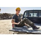 James & Nicholson Strong