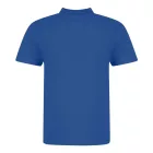 AWDis galléros póló The 100 180 királykék