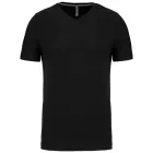 Kariban Men's V-Neck T-Shirt