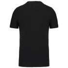 Kariban Men's V-Neck T-Shirt