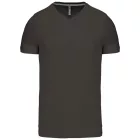 Kariban Men's V-Neck T-Shirt