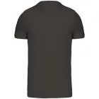 Kariban Men's V-Neck T-Shirt