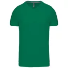 Kariban Men's V-Neck T-Shirt