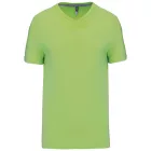 Kariban Men's V-Neck T-Shirt