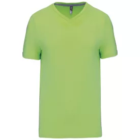 Kariban Men's V-Neck T-Shirt