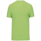 Kariban Men's V-Neck T-Shirt