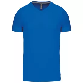 Kariban Men's V-Neck T-Shirt