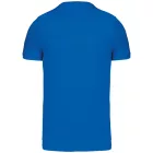 Kariban Men's V-Neck T-Shirt