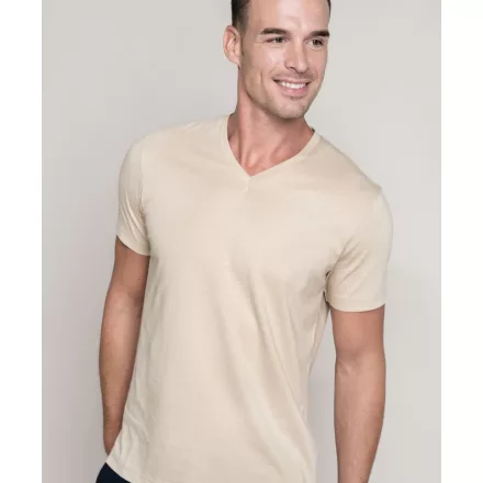 Kariban Men's V-Neck T-Shirt