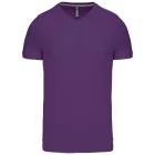 Kariban Men's V-Neck T-Shirt