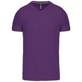 Kariban Men's V-Neck T-Shirt