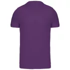 Kariban Men's V-Neck T-Shirt