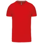 Kariban Men's V-Neck T-Shirt