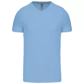 Kariban Men's V-Neck T-Shirt