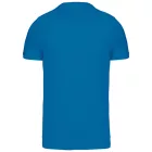 Kariban Men's V-Neck T-Shirt