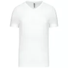 Kariban Men's V-Neck T-Shirt