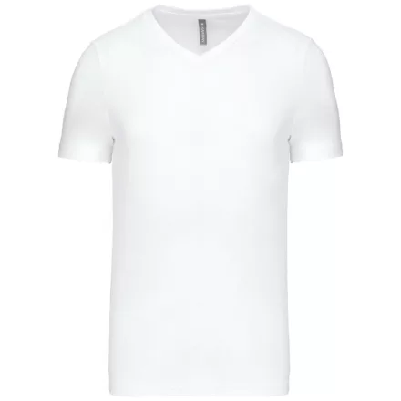 Kariban Men's V-Neck T-Shirt