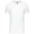 Kariban Men's V-Neck T-Shirt